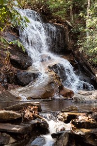 Log Hollow & Discovery Falls Trailhead
