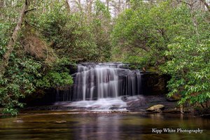 D.E.W.Falls