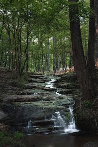 Thomas Farm Preserve