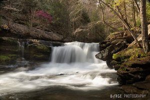 Dunloup Creek