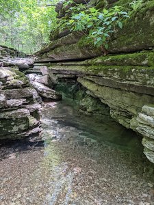 Chinquapin Trail