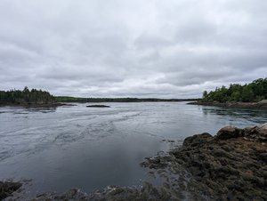 Cobscook Falls