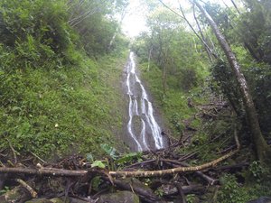 Naniuapo Stream