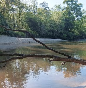 Seminary Falls