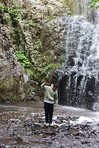 Maple Falls