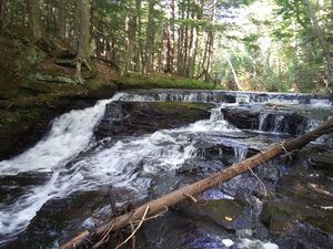 Hogger Falls