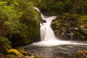 Sweet Creek Falls