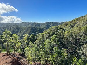 Ewa Forest Reserve (Waimano Sec.)