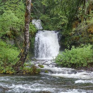 Twin Falls