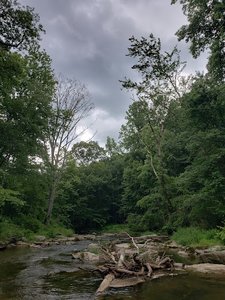 Torrey C. Brown Rail Trail