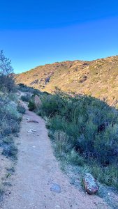 Kitchen Creek Trailhead