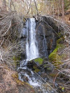 Genoa Loop Trail
