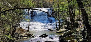 Thompson Falls