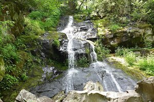Hen Wallow Falls