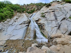 Lisa Falls
