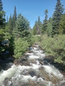 Timberline Falls