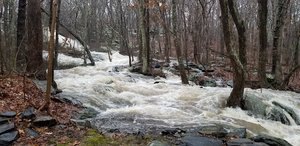 The Waterfalls, Natick