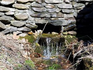 Gallitzin Spring