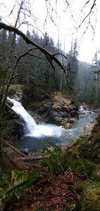 North Fork Sauk Falls Trail