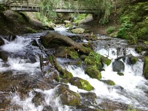 McHugh Creek