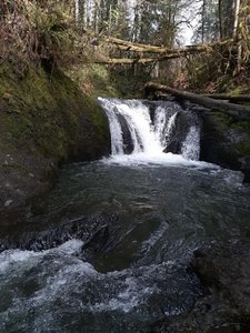 Porter Creek
