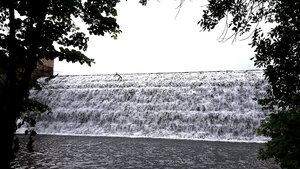 Beeds Lake