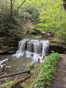 Finn’s Falls