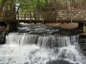 Lake Katharine State Nature Preserve