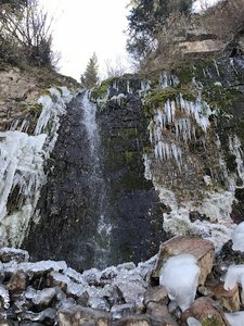 Scout Falls