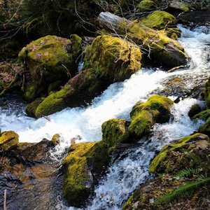 Wilson Falls