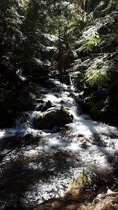 Palisades Trailhead