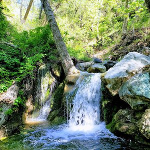 Davy Brown Campground