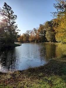 Hidden Lake Winery