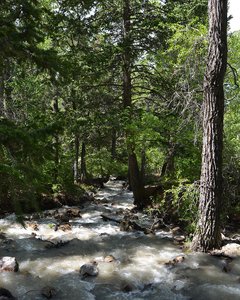 Five Springs Falls Campground