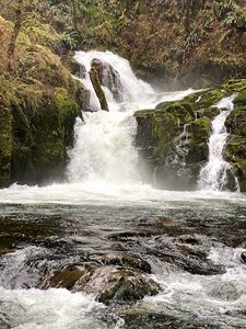Sweet Creek Falls