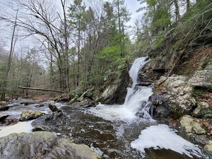 Campbells Falls Trailhead