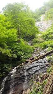 Buckeye Falls Trailhead