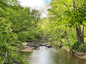 Rapids Trail
