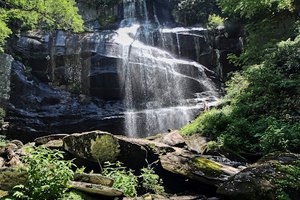 Falls Branch Trail