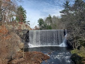Puffers Pond