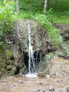 Sheyenne River State Forest