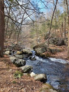 Danforth Falls Trailhead