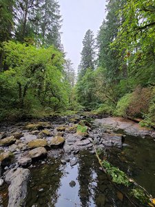 Lacamas Lake