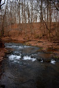 Buffalo Creek