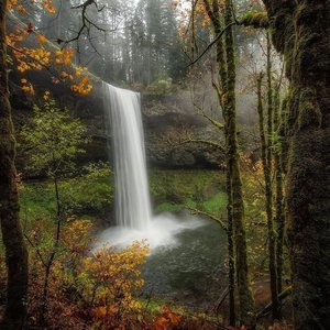 Smith Creek Village at Silver Falls State Park