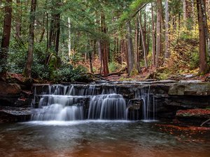 Swallow Falls