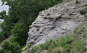 Great Falls Dam View