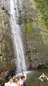 Pauoa Flats Trail Bench
