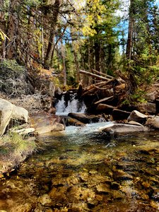 Side of the road waterfall