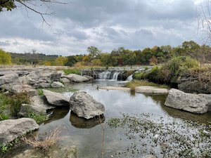 Waterfall – Marion Sansom Park
